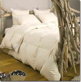 Oreillers Venus BIO et Couette Ainhoa BIO Pyrenex